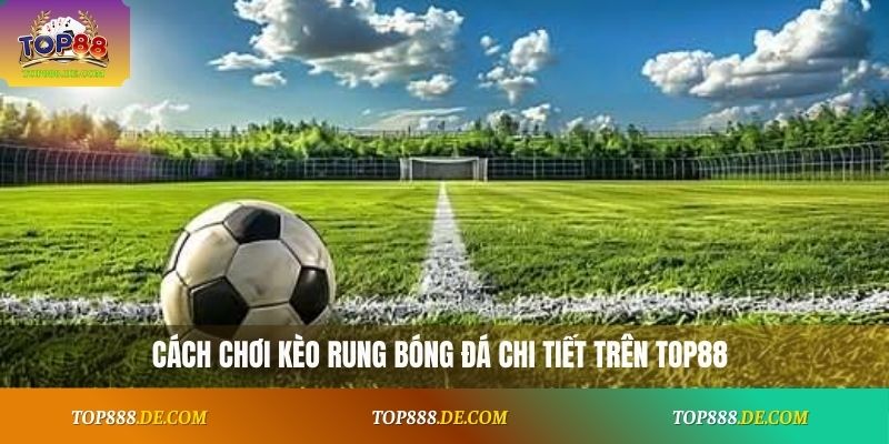 Cách chơi kèo rung bóng đá chi tiết trên Top88